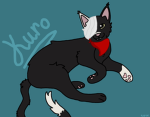 Kuro‘s Camp!!