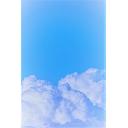 로아 부대 UPDATE
