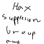 핵 진압 그룹 |hax suppression group