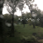 disorientt