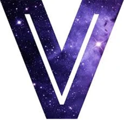 Letter V icon