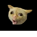 OG_Daddy
