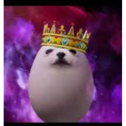 E G G D O G castle