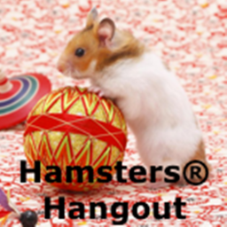[NEW] Hamsters® Hangout