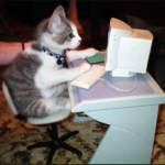 Super Info Cat