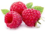 Raspberry Fancy Squad