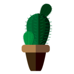 Rainy Creations
