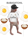 G0ld Clan (STFO)