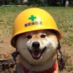 The doge homie