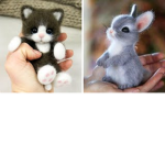 Cutiez for life!