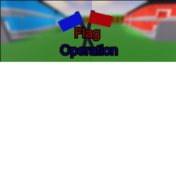 Flag Operation