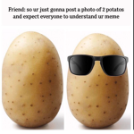 potato group 3.0