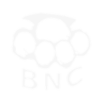 [KR] Burn Knuckles