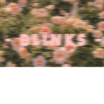 Blink$