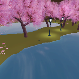 boring place with sakuras