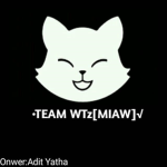 TEAM WTz[MIAW]