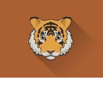 호랑 스듀디오 [ tiger studio ]