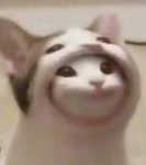 Cat_Legion Army