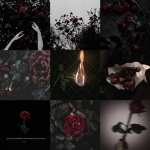 Dark Rose Aesthetic