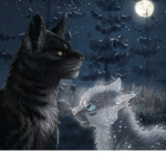 Warrior Cats xD.