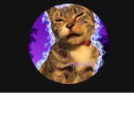 don’t scam pleaseeee