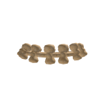 Ancient Bone Necklace