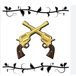 Gun Fight