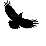 The League of Rooks