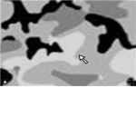 Snow Camo Team