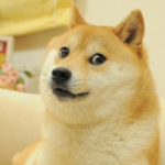 Doge Operations