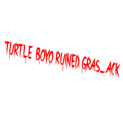 turtle boyo spray Roblox decal