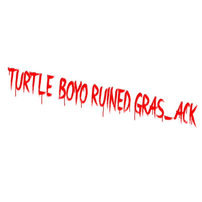 turtle boyo spray Roblox decal