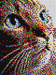 Pixel Couture111