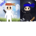 Ninja twins