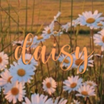 rose and daisy