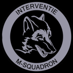 NLMARSOF - (M-SQN), Dienst Speciale Interventies.