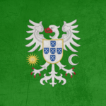 ⌈Senhorio de Aveiro⌋