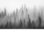 New Fog Studio