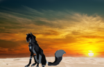 lost sunset wolves