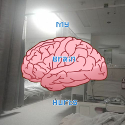 My brain hurts