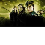Harry potter fans foreverLove