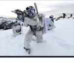 LAA Leons Arctic Army