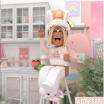 Roblox fannns