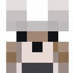 Polar Squad!