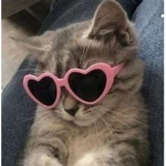 Donating group for friends!
