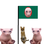 Bingladesh Community