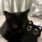 Shpekso's faces Group Thumbnail