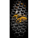 The Bee Society