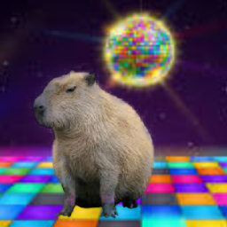 Capybara Hangout