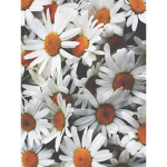 Floral Aestheticx